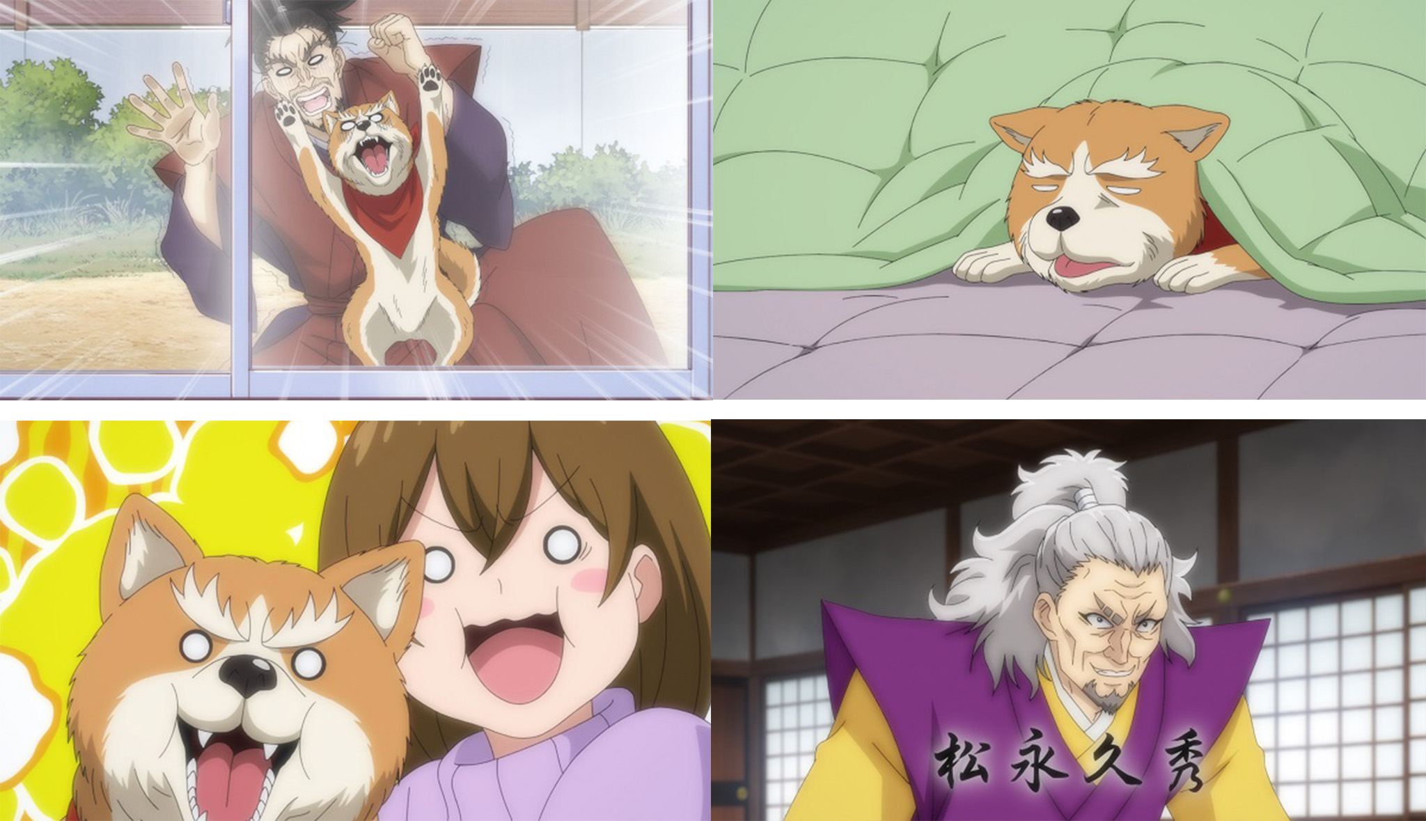 シナモン 信長 織田