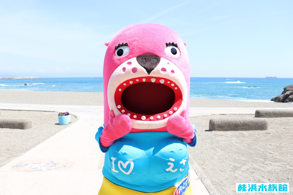 高知 桂浜水族館 おとどちゃん が エイリアンのたまご とコラボ アニメージュプラス アニメ 声優 特撮 漫画のニュース発信