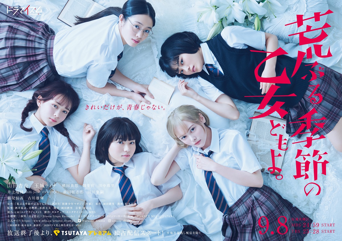 「荒ぶる季節の乙女どもよ。」DVD-BOX 酒井麻衣 荒ぶる季節の乙女どもよ。」DVD-BOX 酒井麻衣