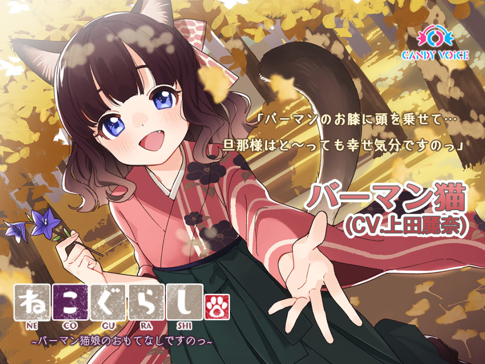 ねこぐらし 3 上田麗奈演じる バーマン猫 に癒される アニメージュプラス アニメ 声優 特撮 漫画のニュース発信