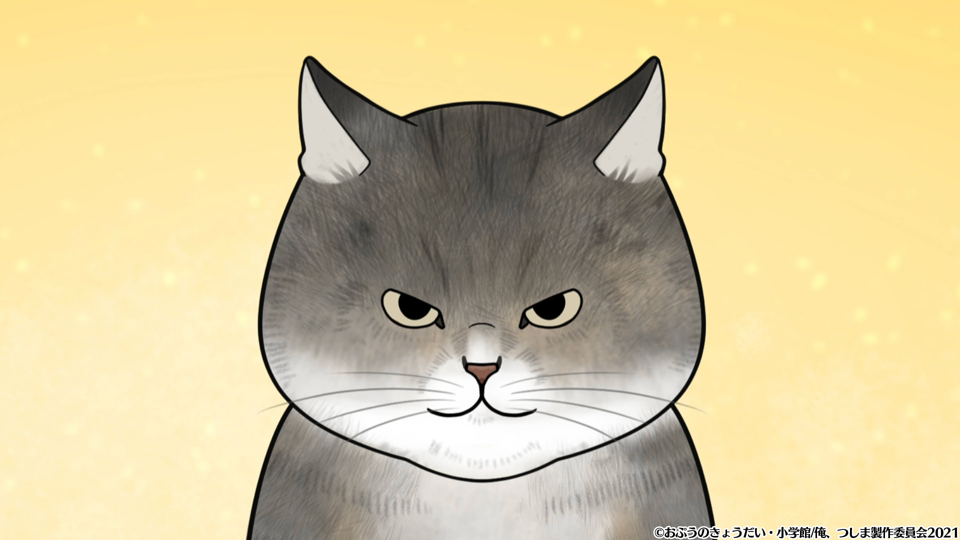 俺 つしま 第1話 喋る 猫 つしまの新しい生活 アニメージュプラス アニメ 声優 特撮 漫画のニュース発信