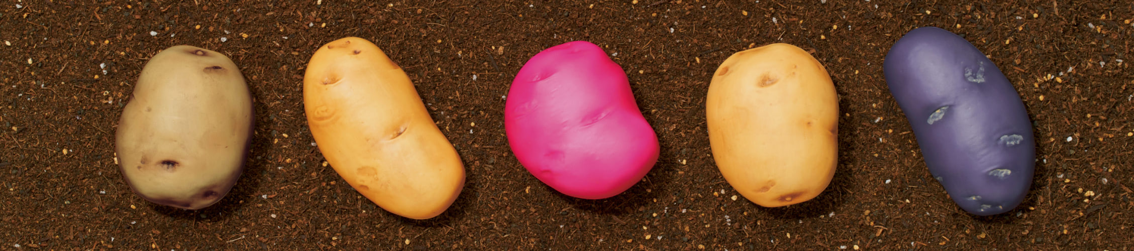 秋の大収穫祭 カプセルトイ かぷせるジャガイモ 発売 Ameba News アメーバニュース