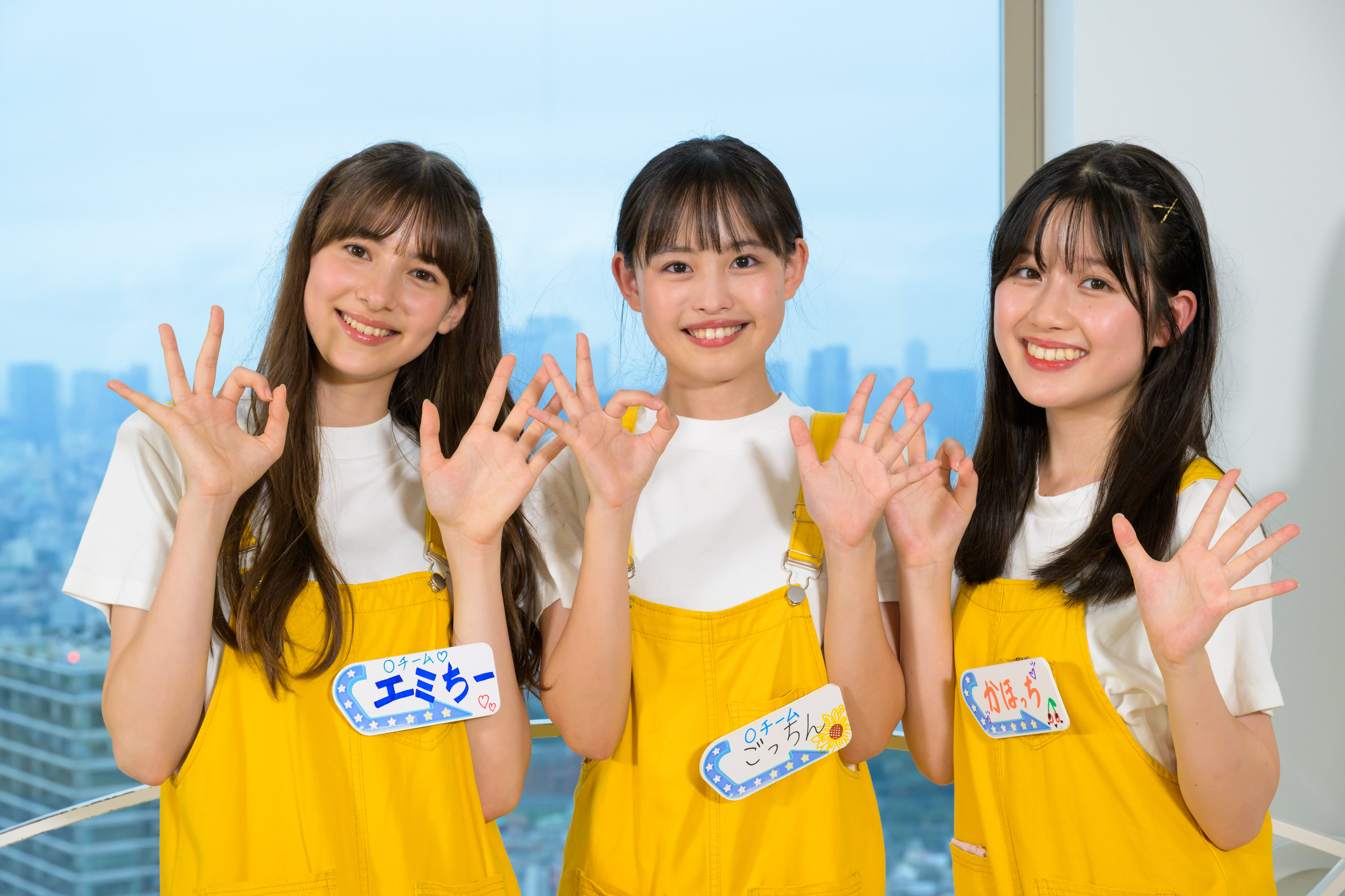 活動歴および当時の関連ビジュアル記録