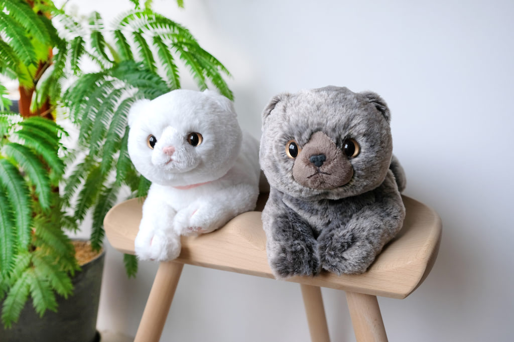 ふわっふわのもっこもこじゃん♪ 極もふ「ひざねこ」を味わって