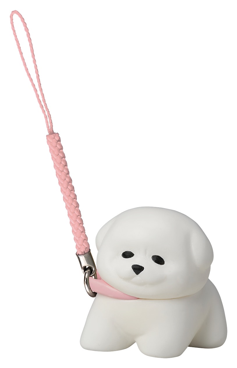 今度のおさんぽは、ビションフリーゼ！ やはり風に吹かれて