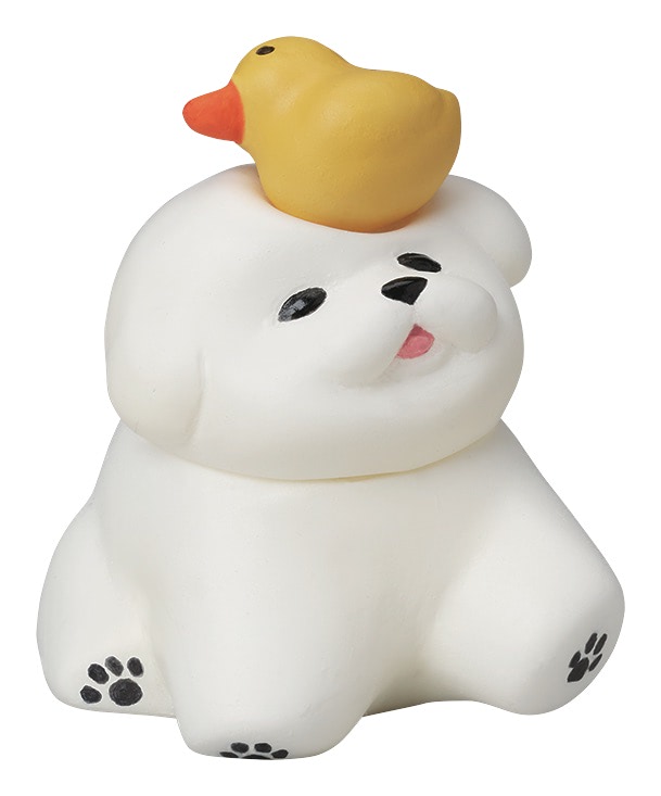 今度のおさんぽは、ビションフリーゼ！ やはり風に吹かれて