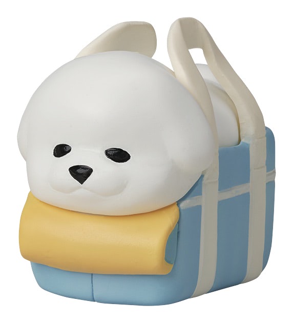 今度のおさんぽは、ビションフリーゼ！ やはり風に吹かれて