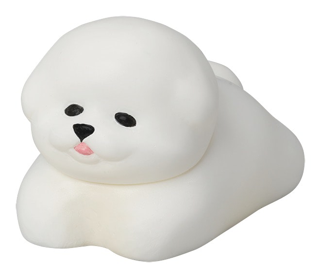 今度のおさんぽは、ビションフリーゼ！ やはり風に吹かれて