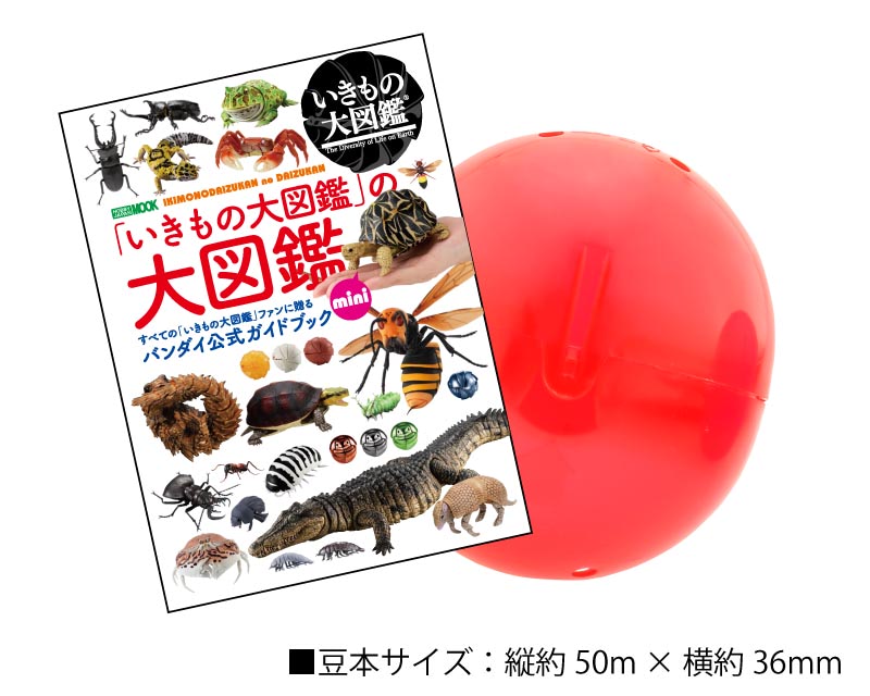 いきもの、動物に関する本　２３冊セット とにかくだいすき！ 恋するいきもの図鑑DX（デラックス） | 今泉