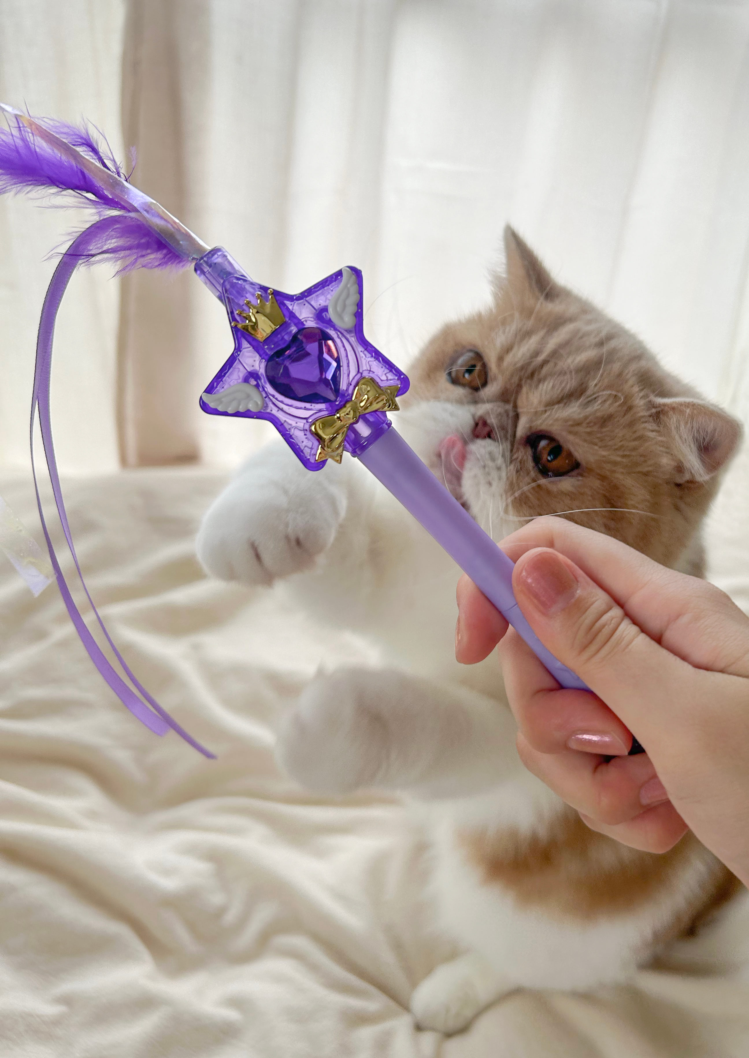 あなたの気まぐれ猫チャンも首ったけ♪「マジカルステッキねこじゃらし