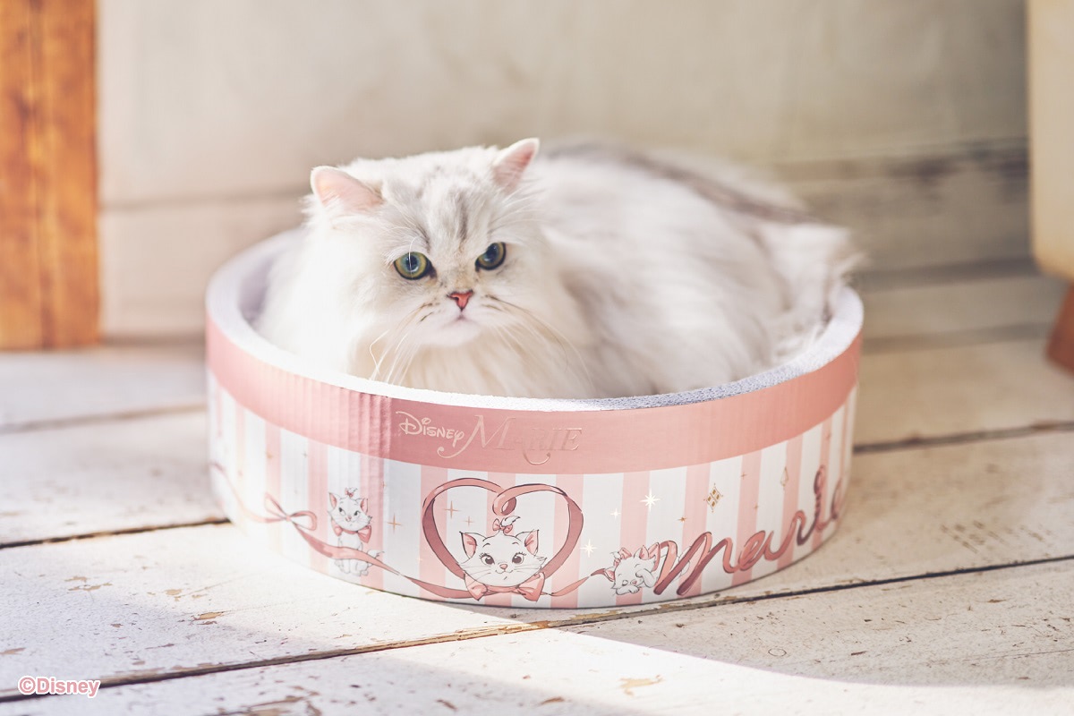 ディズニー】圧倒的可愛さ！「マリー」デザインの猫用アイテムに注目