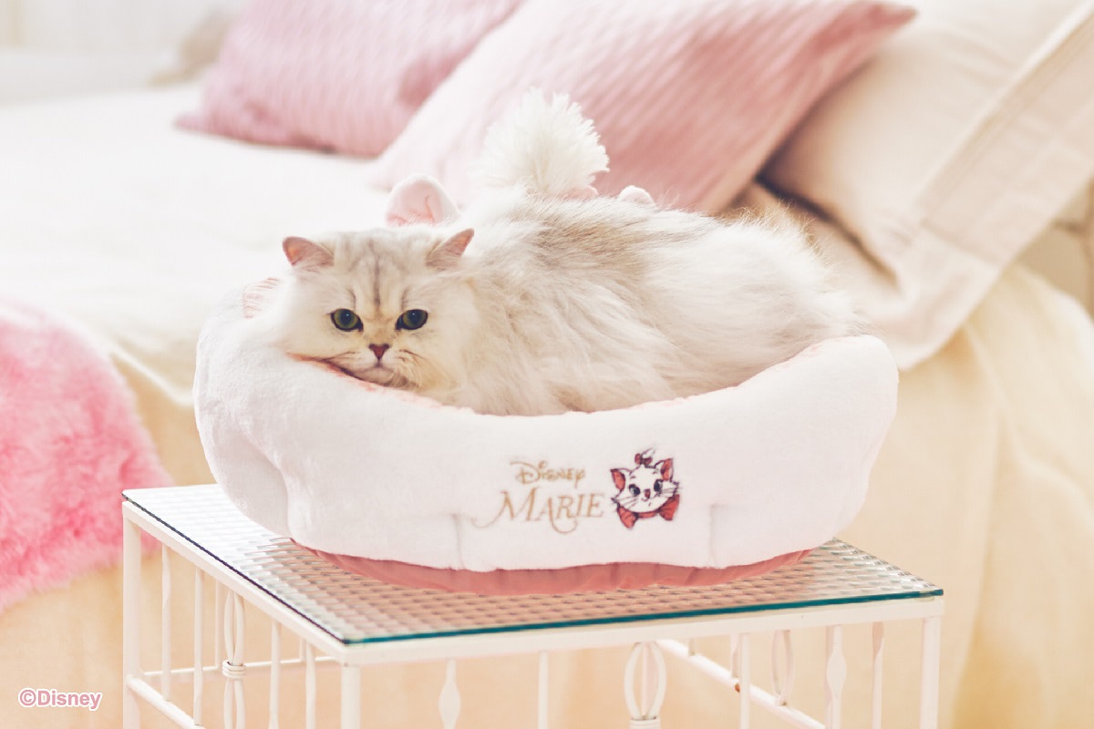 ディズニー】圧倒的可愛さ！「マリー」デザインの猫用アイテムに注目