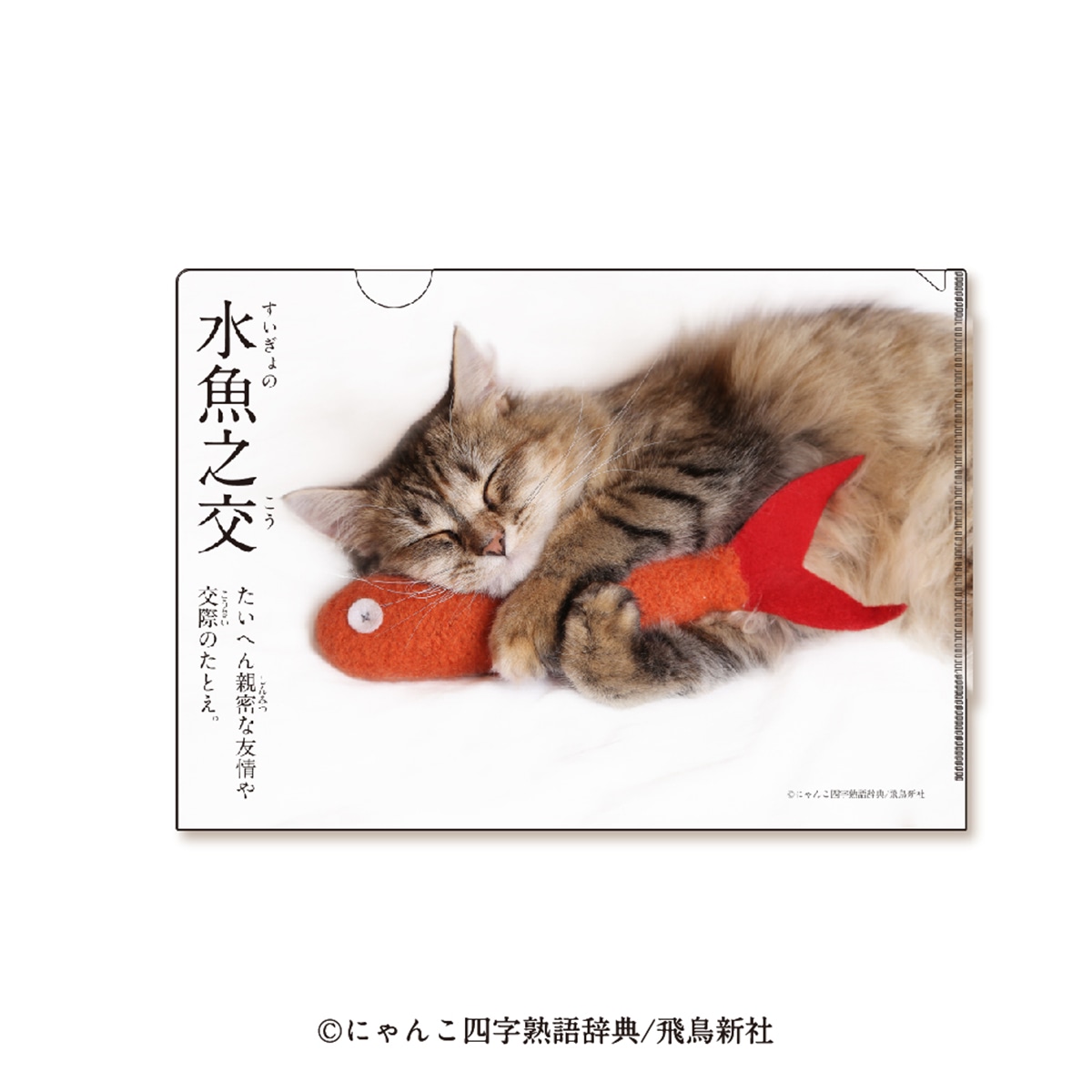 郵便局】リアル猫ちゃんが可愛い！ 『にゃんこ四字熟語グッズ』登場