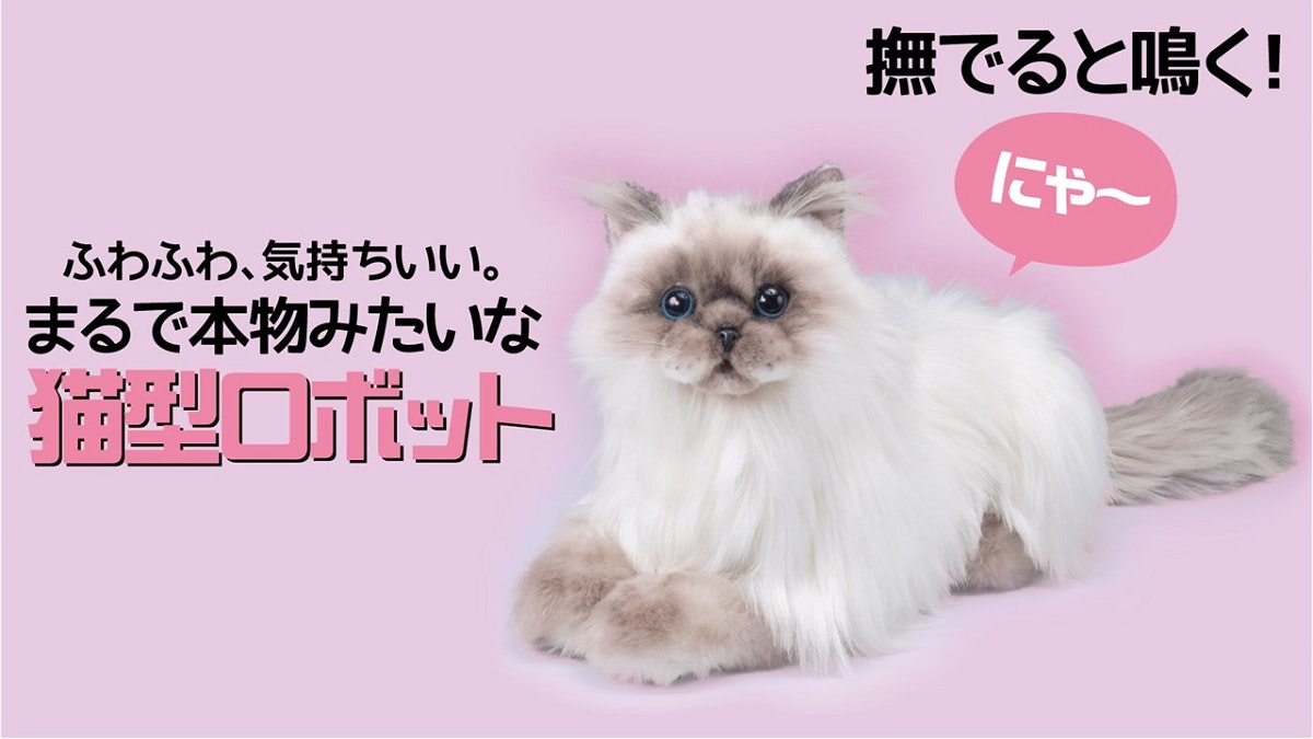 えっ！？ 本物！？ 鳴くよ！ なでなでねこちゃんにヒマラヤン登場