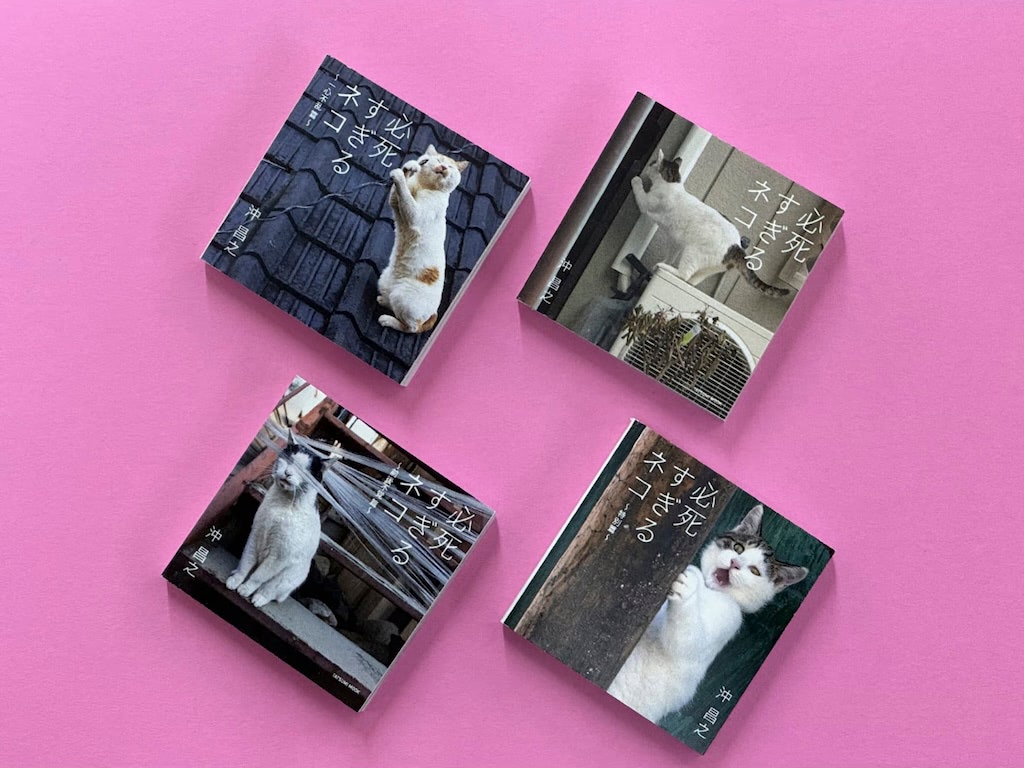 8万部超え人気写真集『必死すぎるネコ』カプセルトイになっちゃった