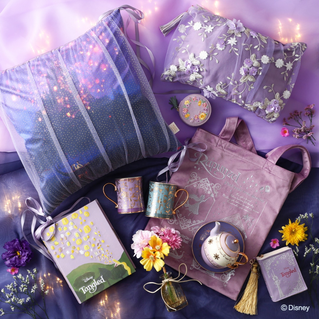 Francfranc Disneyブック型ジュエリーBOX アナと雪の女王 つ*い様 【新品