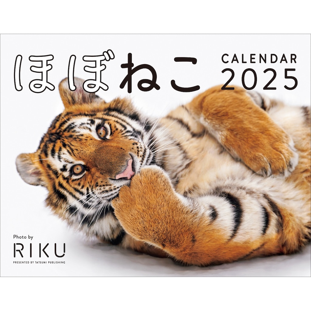 ネコ科はねこ】大ヒット『ほぼねこカレンダー』“飼えない” にゃんこがキュート♪ | アニメージュプラス - アニメ・声優・特撮・漫画のニュース発信！