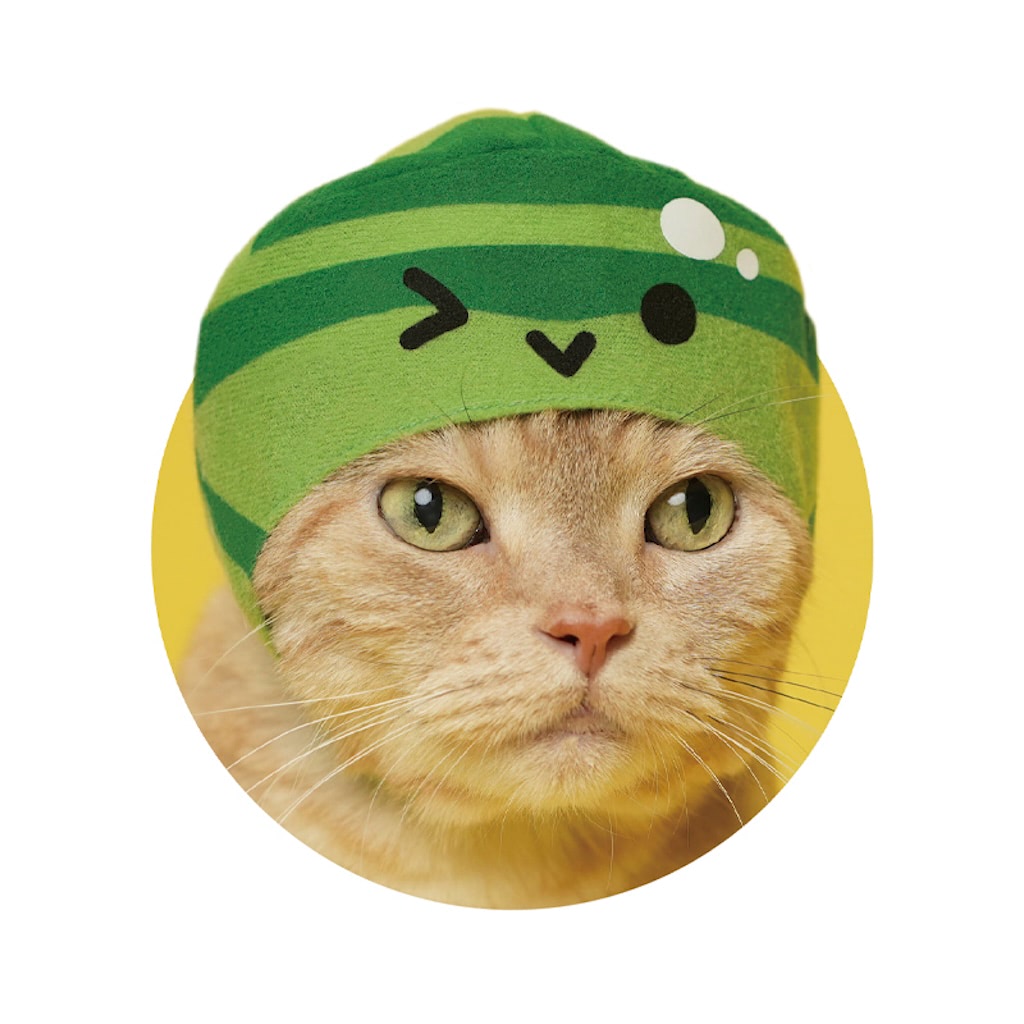 スイカゲーム】果物が “ねこのかぶりもの” に♪ にゃんこをシンカ