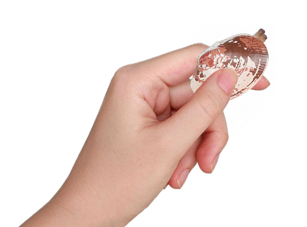 リアル＆シュールな “貝” 玩具！ 砂抜き体験で遊べる「貝水鉄砲-あさり