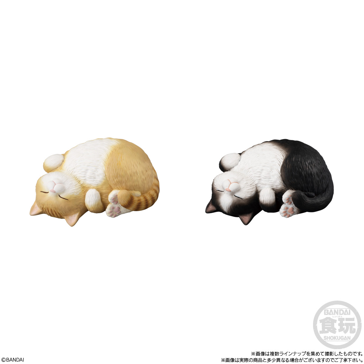 猫好きさん必見！ ネコろんでるソフビ「もっちりころりん♪ ねこ
