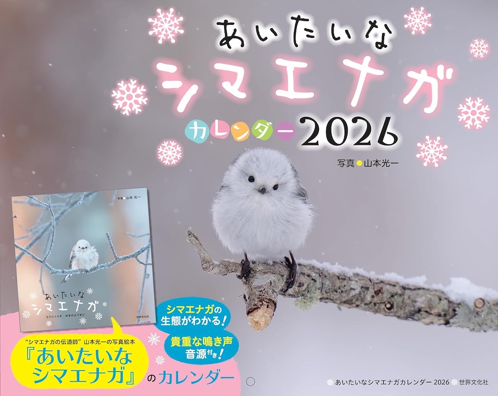 鳴き声も聴ける！ 2026年は写真絵本『あいたいな シマエナガ』発の